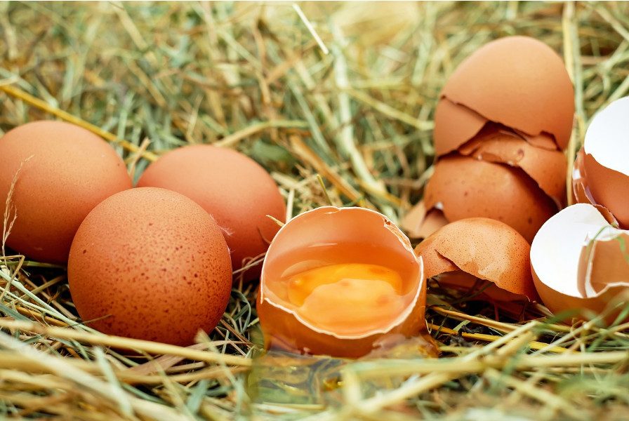 Otkrivamo tajne o Proizvodnji Zdravih Jaja